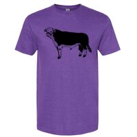 Unisex Softstyle® CVC T-Shirt Thumbnail