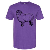 Unisex Softstyle® CVC T-Shirt Thumbnail