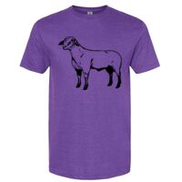 Unisex Softstyle® CVC T-Shirt Thumbnail