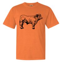 Unisex Garment-Dyed Heavyweight T-Shirt Thumbnail