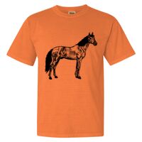 Unisex Garment-Dyed Heavyweight T-Shirt Thumbnail