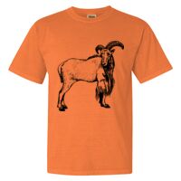 Unisex Garment-Dyed Heavyweight T-Shirt Thumbnail