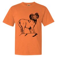 Unisex Garment-Dyed Heavyweight T-Shirt Thumbnail