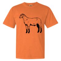 Unisex Garment-Dyed Heavyweight T-Shirt Thumbnail