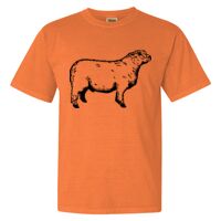 Unisex Garment-Dyed Heavyweight T-Shirt Thumbnail