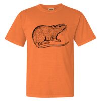 Unisex Garment-Dyed Heavyweight T-Shirt Thumbnail