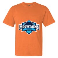 Unisex Garment-Dyed Heavyweight T-Shirt Thumbnail