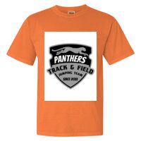 Unisex Garment-Dyed Heavyweight T-Shirt Thumbnail