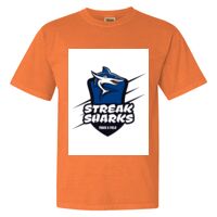 Unisex Garment-Dyed Heavyweight T-Shirt Thumbnail