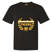 Unisex Garment-Dyed Heavyweight T-Shirt Thumbnail