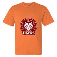 Unisex Garment-Dyed Heavyweight T-Shirt Thumbnail