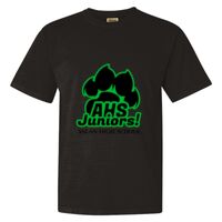 Unisex Garment-Dyed Heavyweight T-Shirt Thumbnail