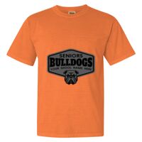 Unisex Garment-Dyed Heavyweight T-Shirt Thumbnail